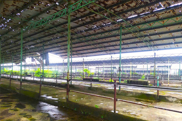 Chuồng trại tại dự án đã xuống cấp, mái tôn hư hỏng, gỉ sét