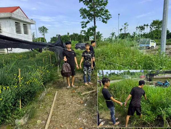 Hà Nội phá nhanh vụ cướp táo tợn giữa đêm, bắt 4 nghi phạm sau 72 giờ